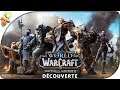 World of Warcraft | Un jeu encore très actif (découverte 1/3)