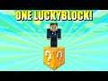 Kan Jeg Overleve På En Lucky OneBlock!?