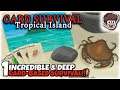 DEEP & BRILLIANT SURVIVAL CARD GAME!! | Let's Play Card Survival Tropical Island | Part 1 | Gameplay