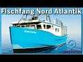 Fischfang Simulator: NORD ATLANTIK ► RIESIGE Schiffe, großer FANG #gamescom19