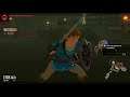 hyrule warrior age of calamity #4