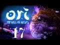 Let's Play: Ori and the Will of the Wisps/ Part 17: Kwolok braucht Hilfe!