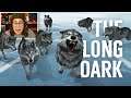 Making Friends with Timberwolves! | StacyPlays The Long Dark (Wild Wednesday)