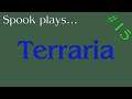 Terraria - Stream Archive #15