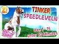 Tinker Speedleveln! | LEVEL 1- 15 | Star Stable [SSO]