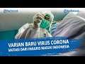 Virus Corona Baru Mutasi dari Inggris Masuk Indonesia
