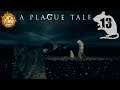 A Plague Tale [13]: Penance - The Nightmare