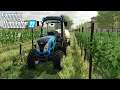 APLICAÇÃO NA PLANTAÇÃO DE UVA | Farming Simulator 22