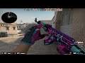 CS:GO POV G2 NiKo (25/16) vs NIP - DUST2 @ BLAST Premier Spring Final 2021