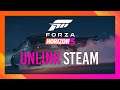 How to Unlink Steam from Forza Horizon 5 | Simple Guide