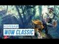 Казуальный World of Warcraft Classic (Тролль Шаман)