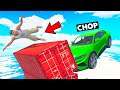 CHOP SMASHED INTO ME SO HARD I FLEW INTO SPACE GTA 5
