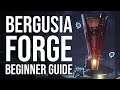 Destiny 2 Bergusia Forge Beginner Guide