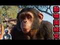 俺の動物園経営 ひとりでゲーム放送ですよ eoheohのゲーム生放送【Planet Zoo】