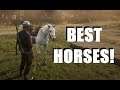Top 5 BEST HORSES to Own in Red Dead Redemption 2 Online