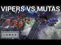 StarCraft 2: VIPERS VS MUTALISKS! (Scarlett vs TLO)