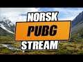 🔥 Vi får se hva vi gjør... | Nino streamer! | Norsk Fortnite/PUBG/CS:GO Stream! 🔥