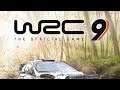 WRC 9 gameplay Xbox Series X.