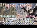 Alatreon VS Shara Ishvalda (FULL FIGHT) Turf War #20kSubSpecial