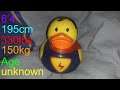 Meet the Ducky Balboa