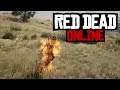 Red Dead Online PvP - War in the great plains