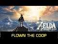 The Legend of Zelda Breath of The Wild - Flown The Coop Side Quest - 16