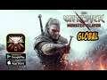 The Witcher: Monster Slayer - Global (Android/IOS) Gameplay