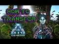 ARK GENESIS: HOW TO TRANSFER