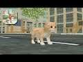 Cat Sim Online: Play with Cats #2 (Gameplay Android, iOS)