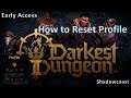 How to Reset your Profile in Darkest Dungeon II!