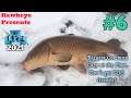 Ice Lakes (2021) - Ep. #6 - Biggest Common Carp at the Dam.  Don't get TOO Greedy!