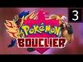 LE FROID DE L'HIVER - Pokémon Bouclier [03]
