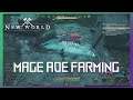 New World Mage AoE Farming
