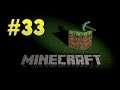 Let's play Minecraft Survival [33] Bob the Butcher