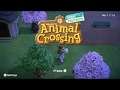 Animal Crossing: New Horizon| Minha casa| O museu|