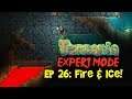Ep 26: FIRE & ICE! Terraria EXPERT MODE Let's Play/Playthrough (1.3 PC Gameplay, 2019)