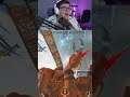 I'm Not Scared #apex #apexloba #apexlegends #apexranked #apexditto #shorts #shortsditto