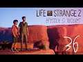 Let's Play Life is Strange 2 [German][#36] Nachtwanderung im Canyon