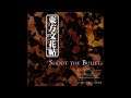 Tengu is Watching ~ Black Eyes - Touhou 9.5: Shoot the Bullet
