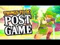 Zelda: Skyward Sword HD (Switch) - Things YOU Can Do POST Game