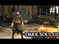 ЗНАКОМСТВО►Прохождение Dark Souls 2 #1