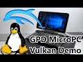 GPD MicroPC - Linux Vulkan Gaming Demos (Dolphin Emulation)