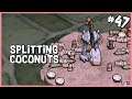 🐷 Splitting Coconuts & Getting Ready for RoG | Don't Starve Hamlet Gameplay | Part 47