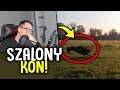 SZALONY KOŃ!! - YOU LAUGH YOU LOSE #59