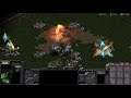What Zerg