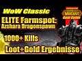 ELITE Farmspot: Azshara Dragonspawn | 1000+ Kills 🐲| Loot+Gold Ergebnisse| WoW CLASSIC Gold Guide