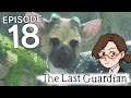 How I Met Your Mo- I mean Trico | The Last Guardian - 18