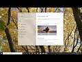 Prevent Wireless Mouse From Waking up Windows From Sleep Mode