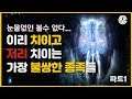 [코브] 이리 치이고 저리 치이는 가장 불쌍한 종족 (파트1)
