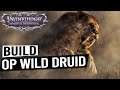 OP DRUID SHAPESHIFTER Build Guide - PATHFINDER WRATH OF THE RIGHTEOUS